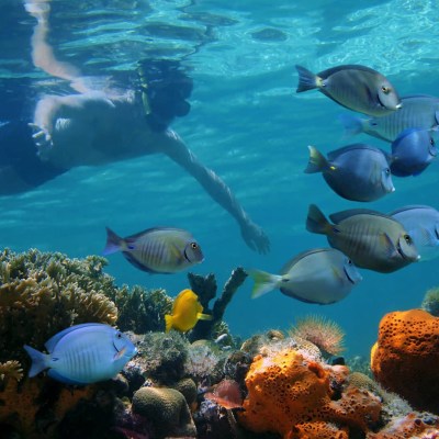 a group of underwater