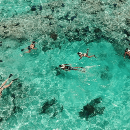 a group of people swimming in a body of water