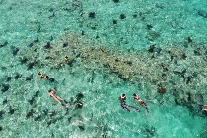 a group of people swimming in the water