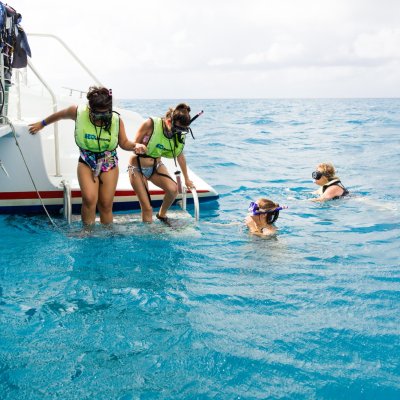 a group of people swimming in a body of water